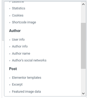 Dynamic Tags Author Post