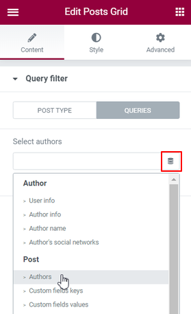 Query filter Dynamic Tag Authors