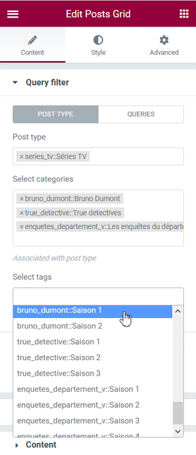 Query filter Tags