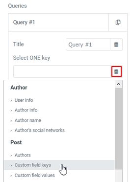 Query filter custom fields keys