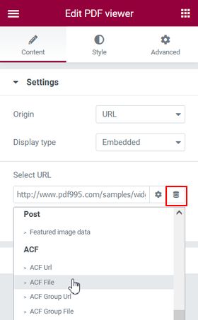 PDF URL dynamic ACF file