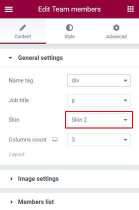 Team Members general settings skin